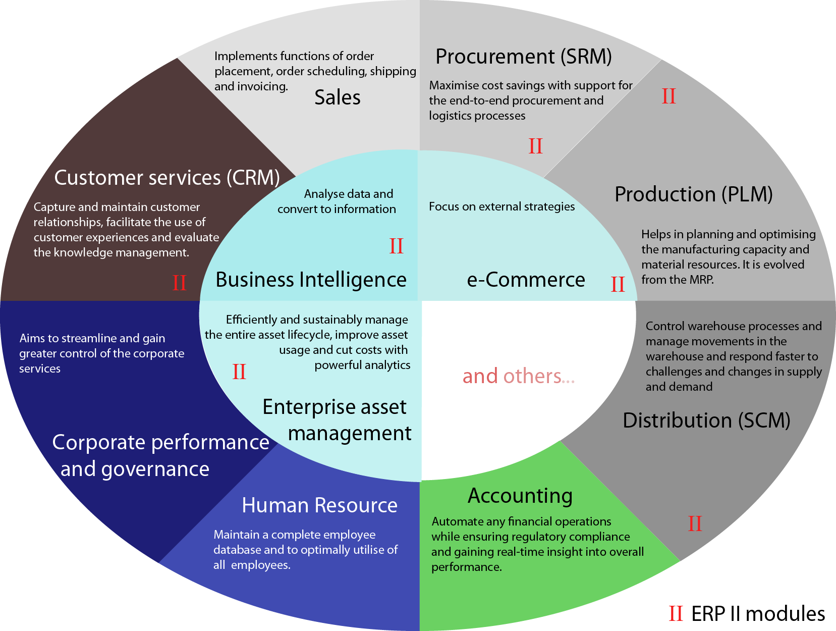 Circular diagram showing accounting alongside sales, procurement, production, distribution, human resources and other ERP functions.